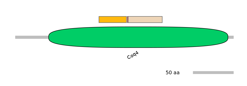 RnoALTA0010014-2_2-INC