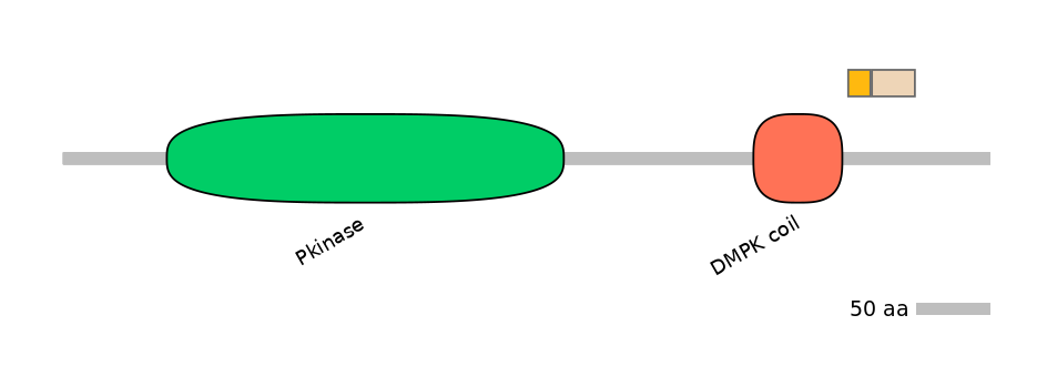 RnoALTA0012156-1_8-EXC