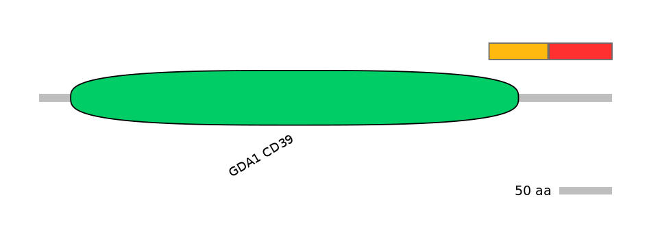 RnoALTA0013886-2_3-INC