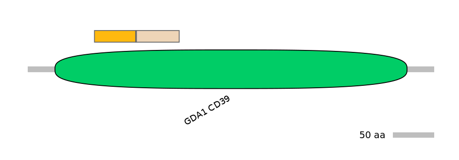 RnoALTA0013902-2_2-INC