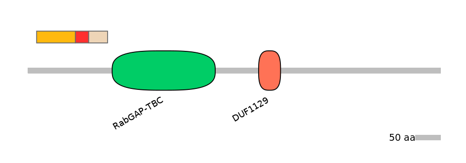RnoALTA0014304-2_3-INC