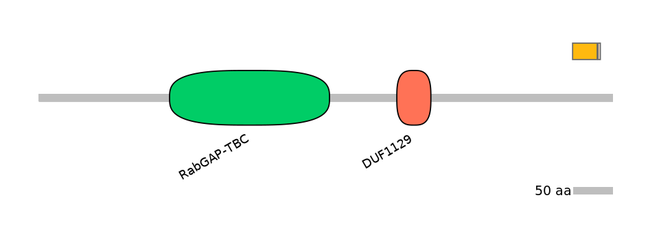 RnoALTA0014310-1_2-INC