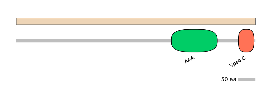 RnoALTA0015450-1_2-EXC