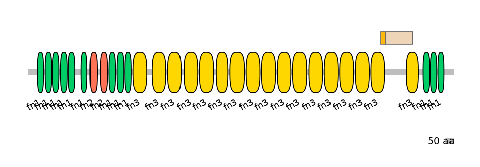 RnoALTA0015646-1_5-EXC