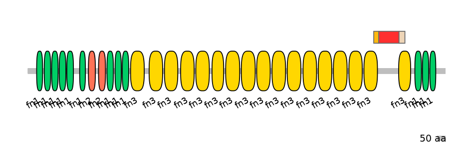 RnoALTA0015646-3_5-EXC