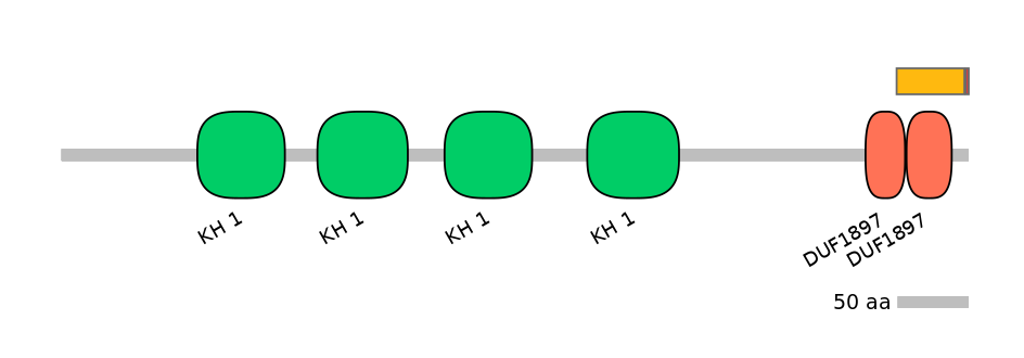 RnoALTA0015869-2_3-EXC