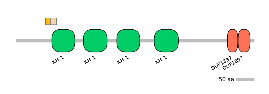 RnoALTA0015871-2_3-EXC