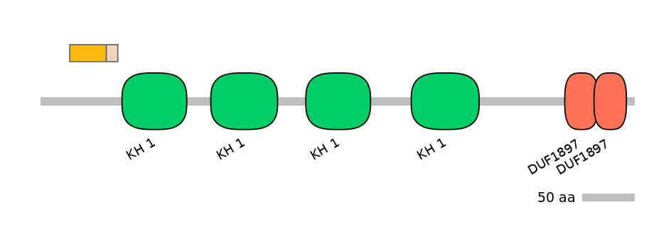 RnoALTA0015874-1_2-EXC