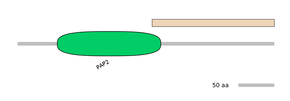 RnoALTA0015972-1_2-EXC