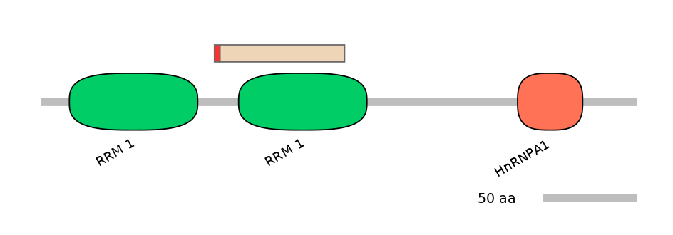 RnoALTA0018301-2_2-INC