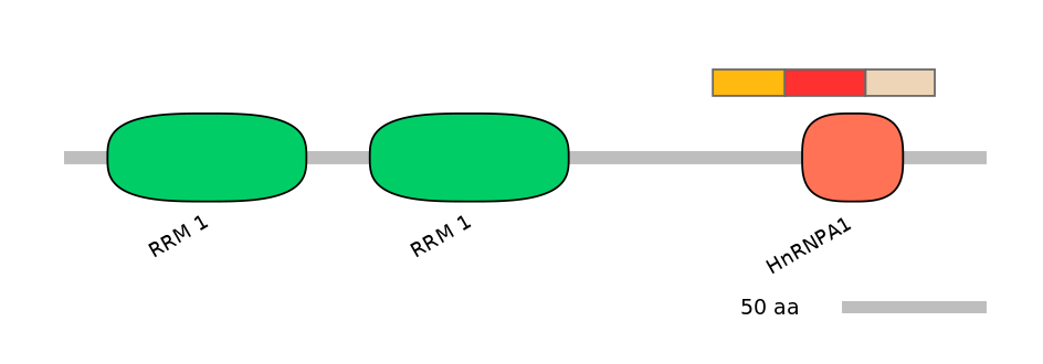 RnoALTA0018302-5_5-EXC