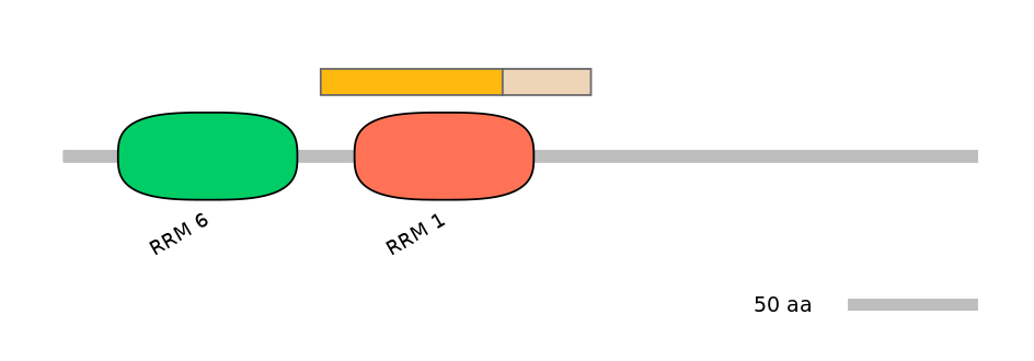 RnoALTA0018311-1_2-EXC