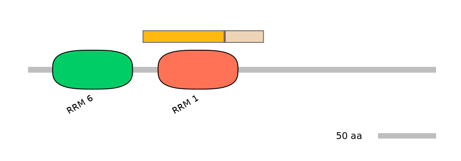 RnoALTA0018311-2_2-EXC