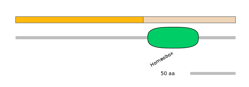 RnoALTA0018398-1_3-EXC