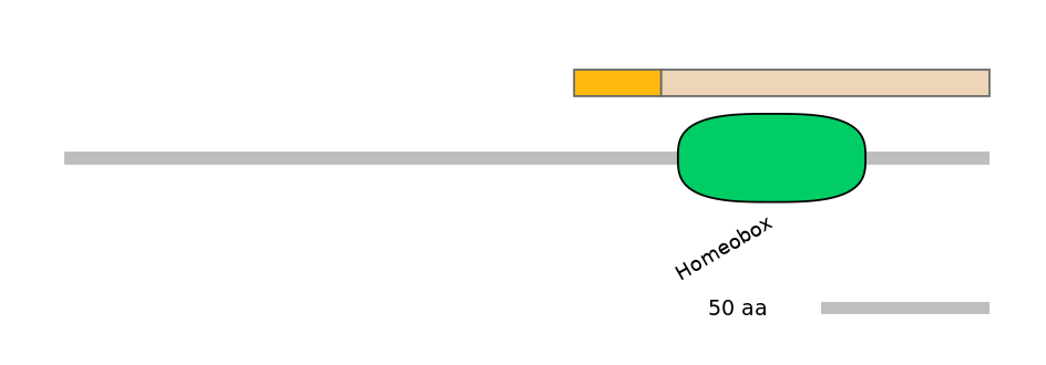RnoALTA0018403-1_2-EXC