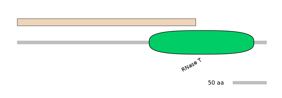 RnoALTA0019640-3_4-EXC