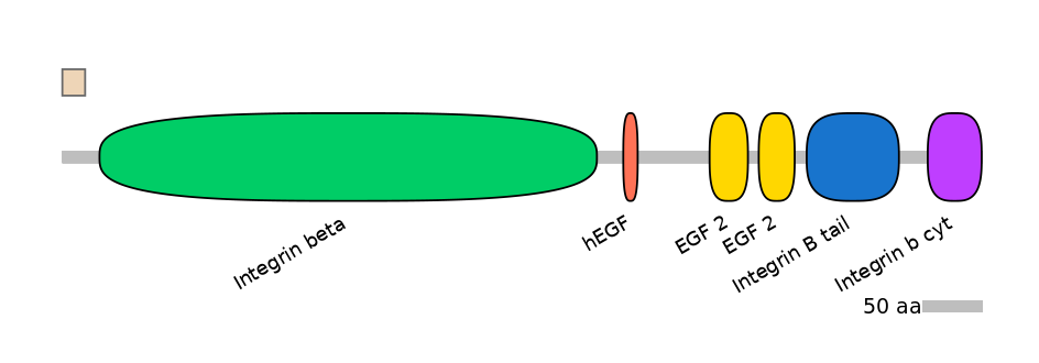 RnoALTA0019795-1_3-EXC