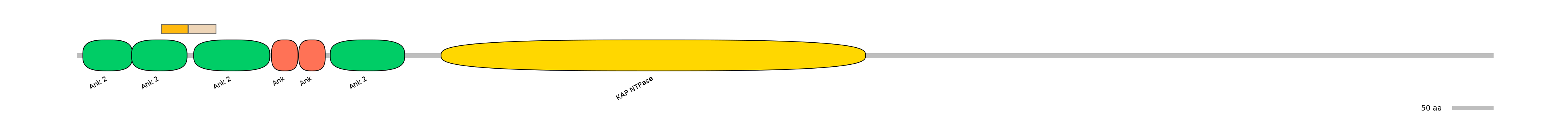 RnoALTA0020493-1_3-EXC