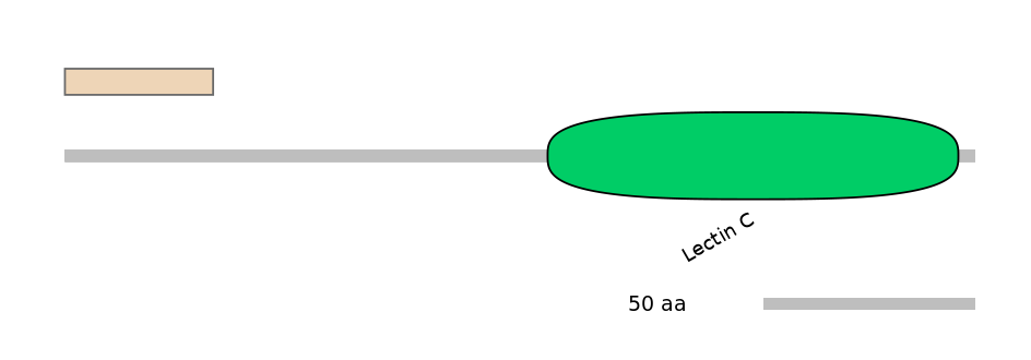 RnoALTA0020891-1_4-EXC