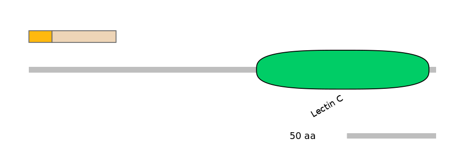 RnoALTA0020891-1_4-INC