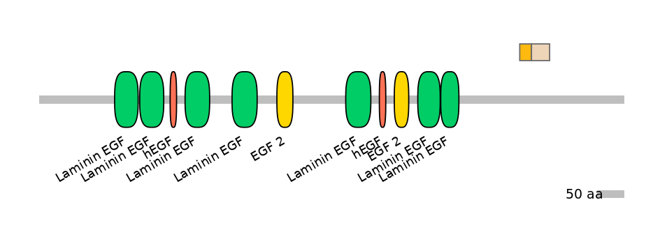 RnoALTA0023789-1_2-EXC