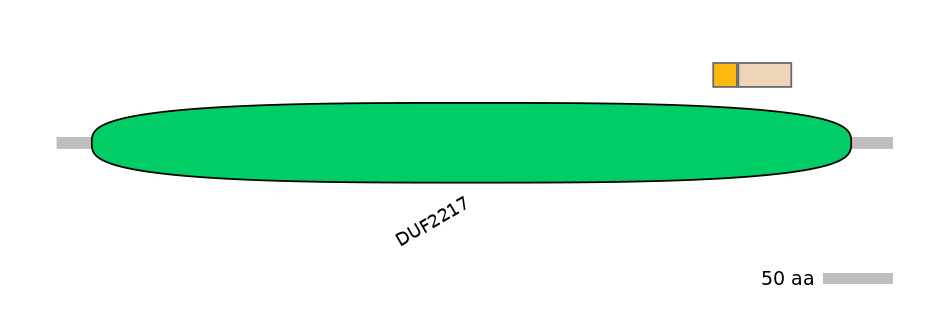RnoALTA0024103-2_2-EXC