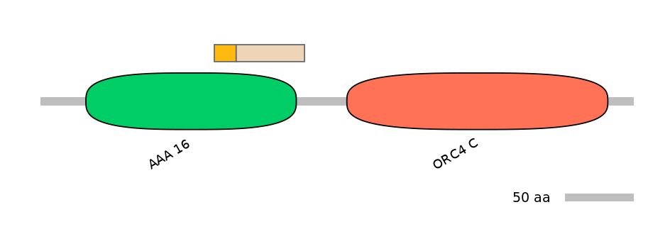 RnoALTA0027607-1_2-EXC