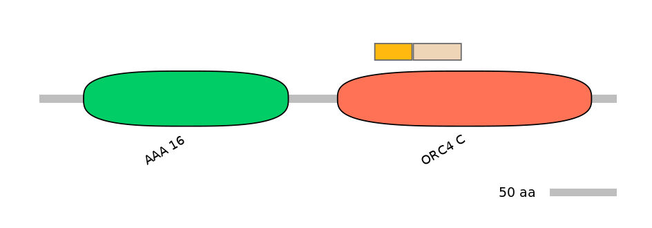 RnoALTA0027610-1_3-EXC