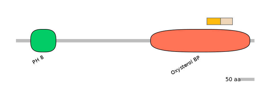 RnoALTA0027701-1_4-EXC