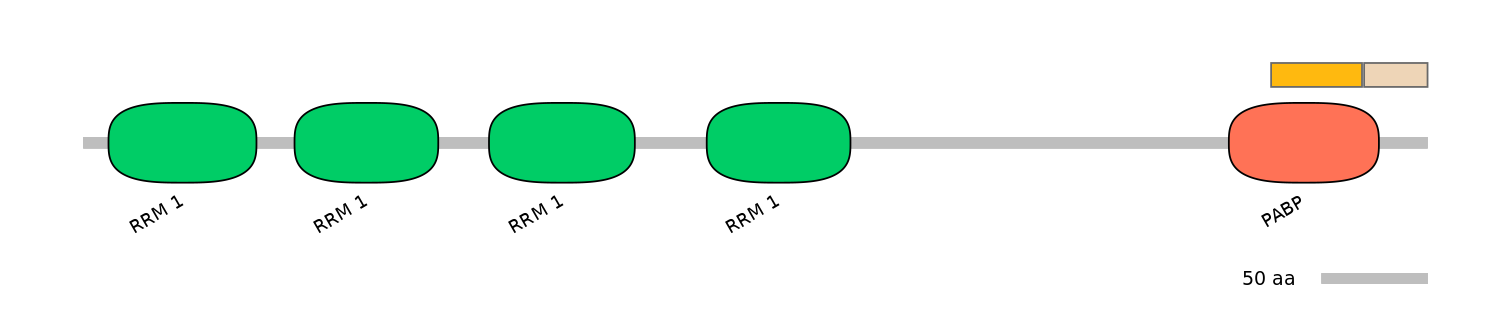 RnoALTA0027870-2_2-EXC