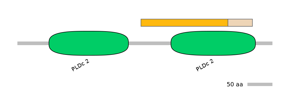 RnoALTA0028851-1_2-EXC