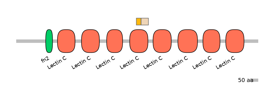 RnoALTA0029501-1_2-EXC