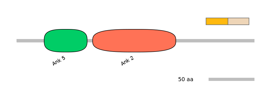 RnoALTA0030385-2_3-EXC