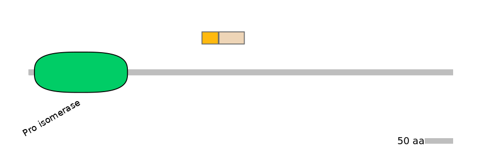 RnoALTA0030468-1_2-EXC