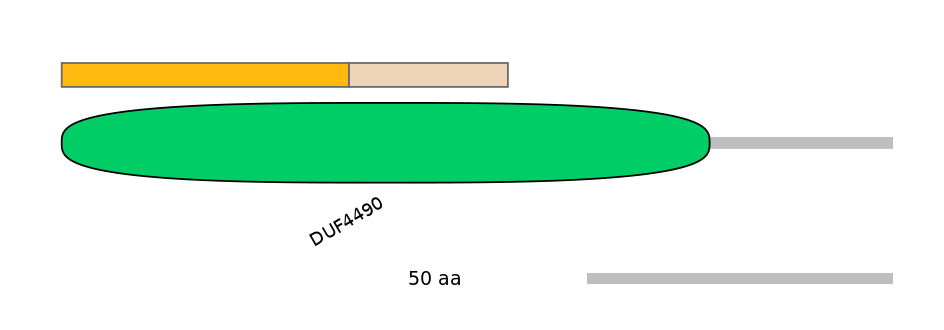 RnoALTA0032163-1_2-INC