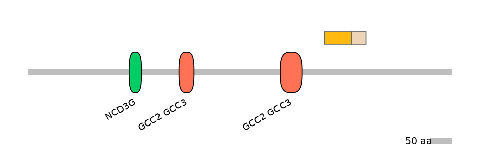 RnoALTA0032476-2_2-EXC