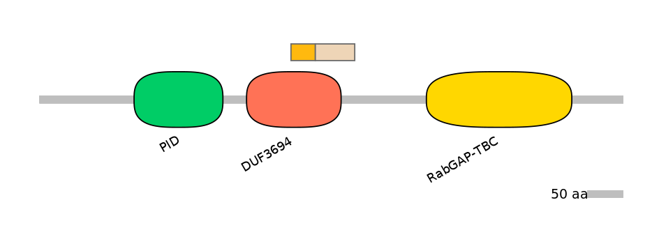 RnoALTA0032774-2_2-EXC