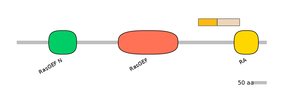 RnoALTA0032925-1_2-EXC