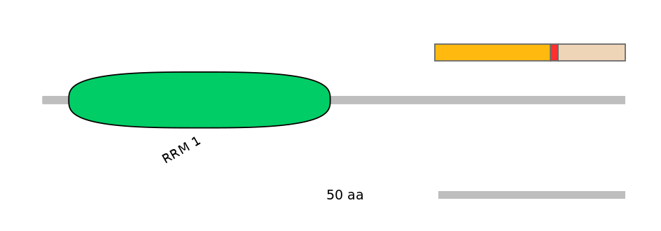 RnoALTA0033299-2_3-EXC