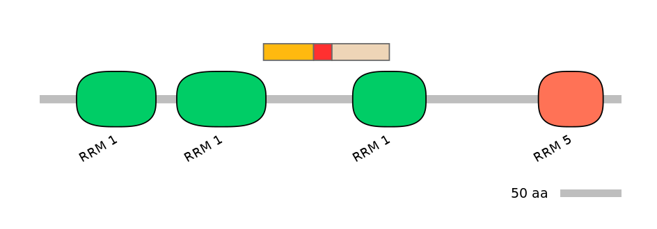 RnoALTA0033321-3_3-INC