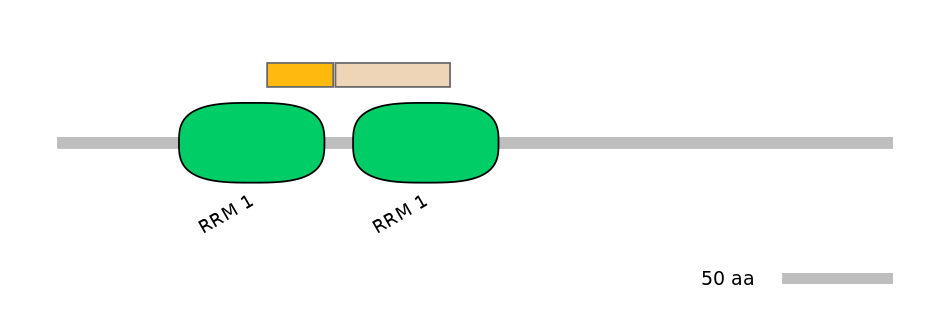 RnoALTA0033355-1_2-EXC