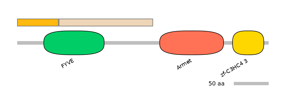 RnoALTA0033645-2_2-EXC