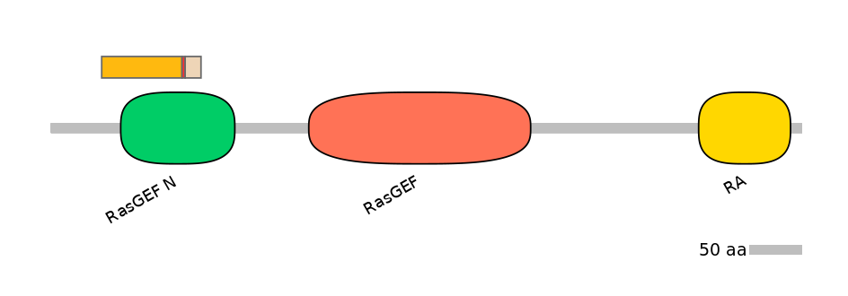 RnoALTA0033701-3_3-INC