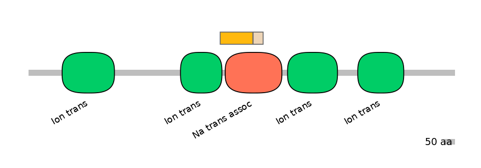 RnoALTA0035205-1_2-EXC