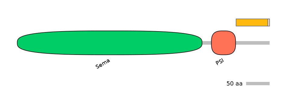 RnoALTA0035602-1_2-EXC