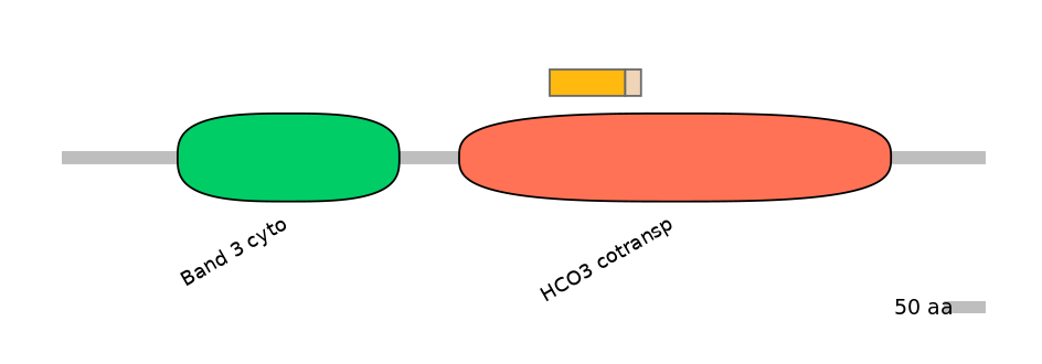 RnoALTA0037164-1_2-EXC
