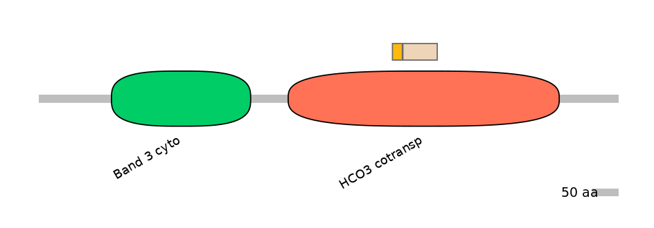 RnoALTA0037165-1_2-EXC