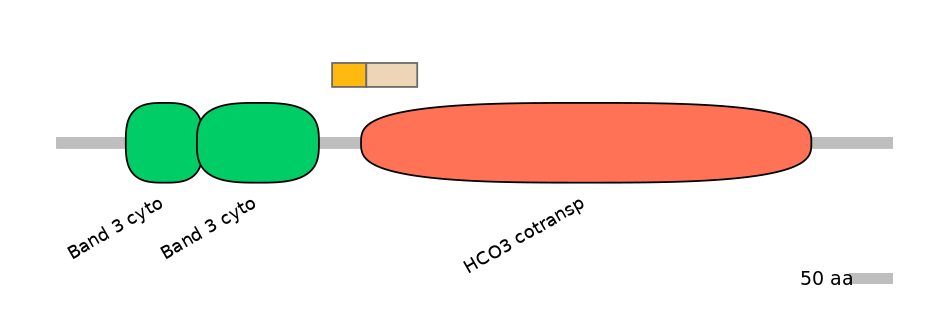RnoALTA0037185-1_3-EXC