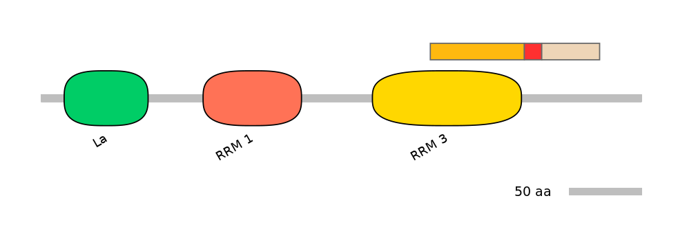 RnoALTA0038669-3_5-INC