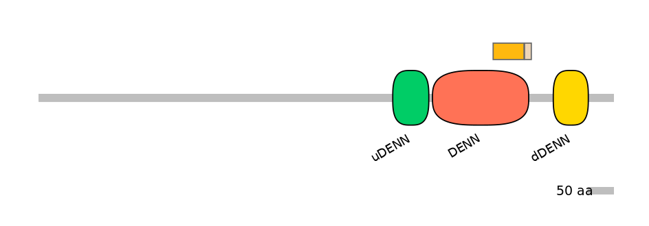 RnoALTA0038771-1_4-INC